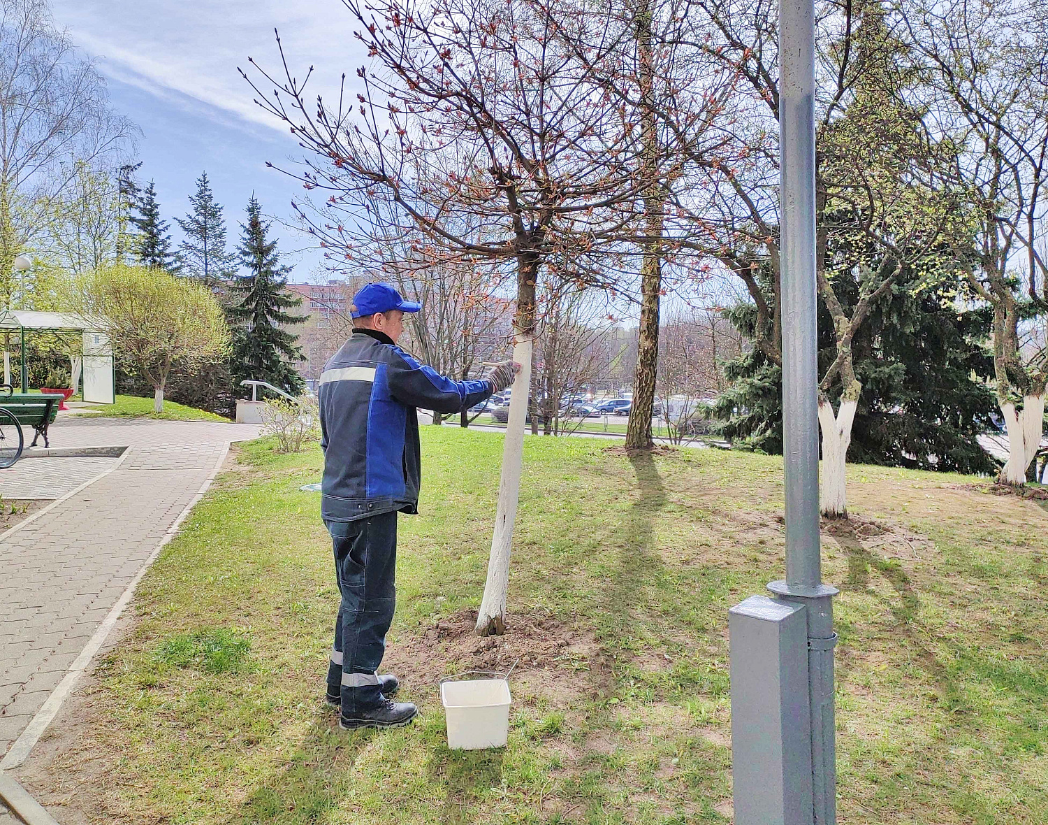 Приняли активное участие в республиканском субботнике