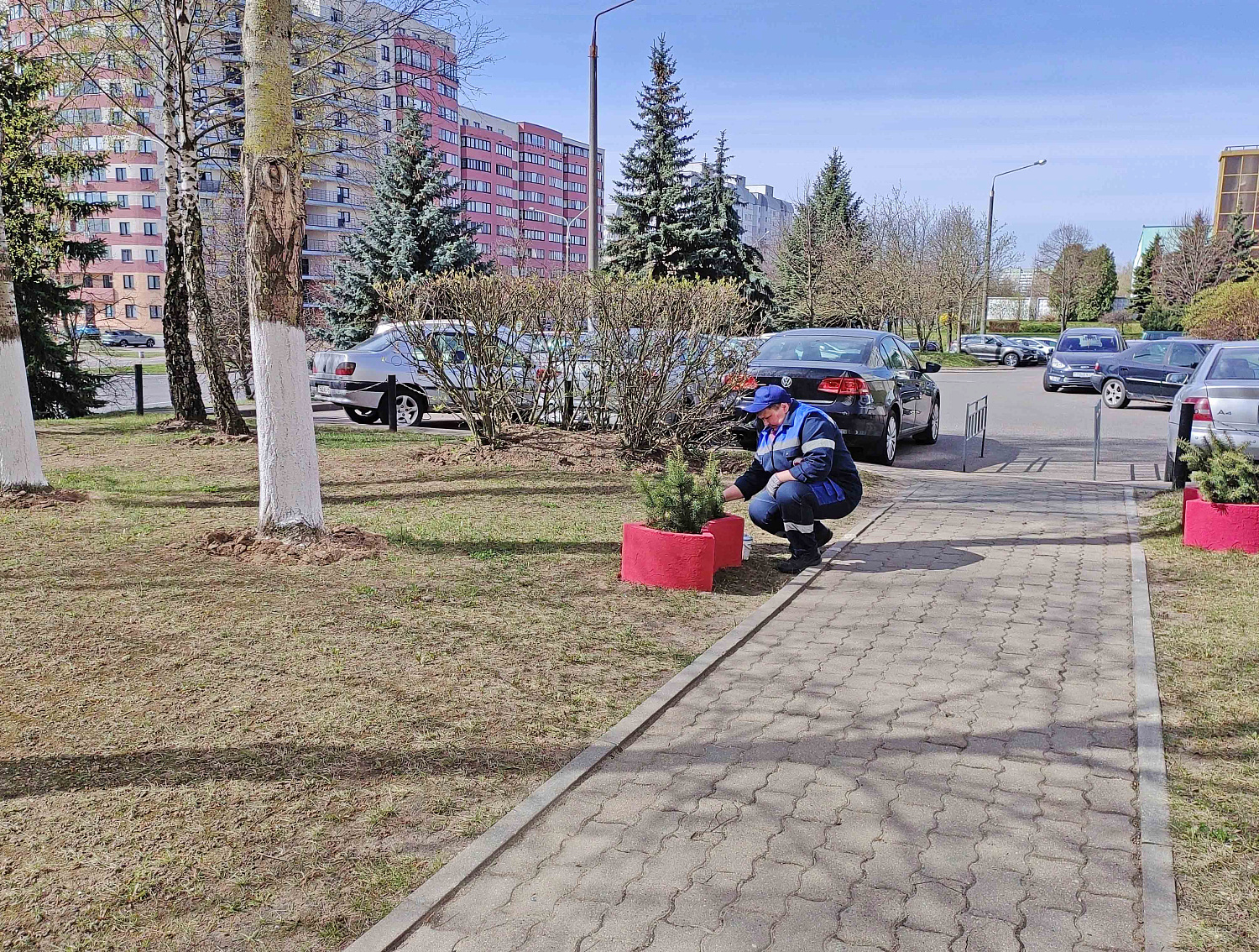 Приняли активное участие в республиканском субботнике