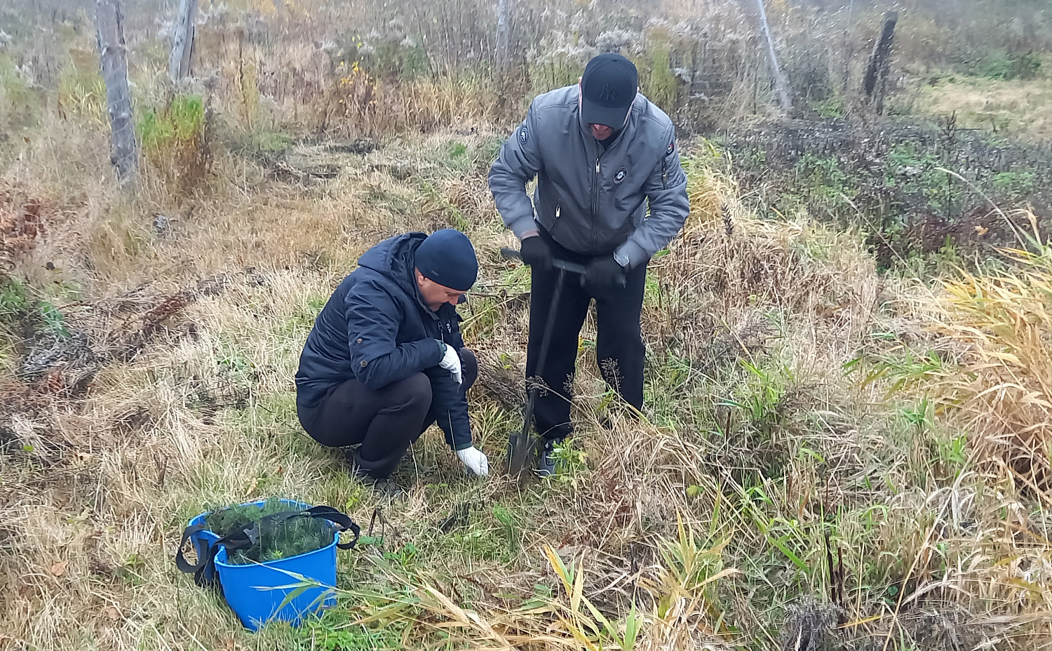 Приняли участие в акции «Дай лесу новае жыццё!»