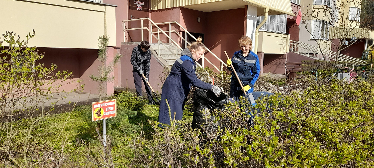 Приняли активное участие в республиканском субботнике