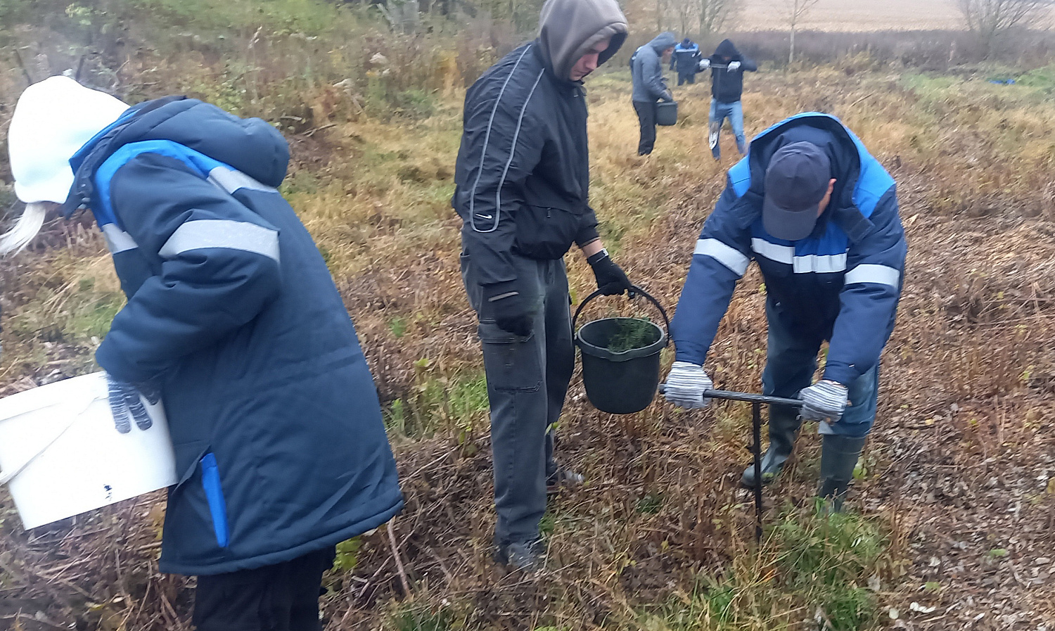 Приняли участие в акции «Дай лесу новае жыццё!»